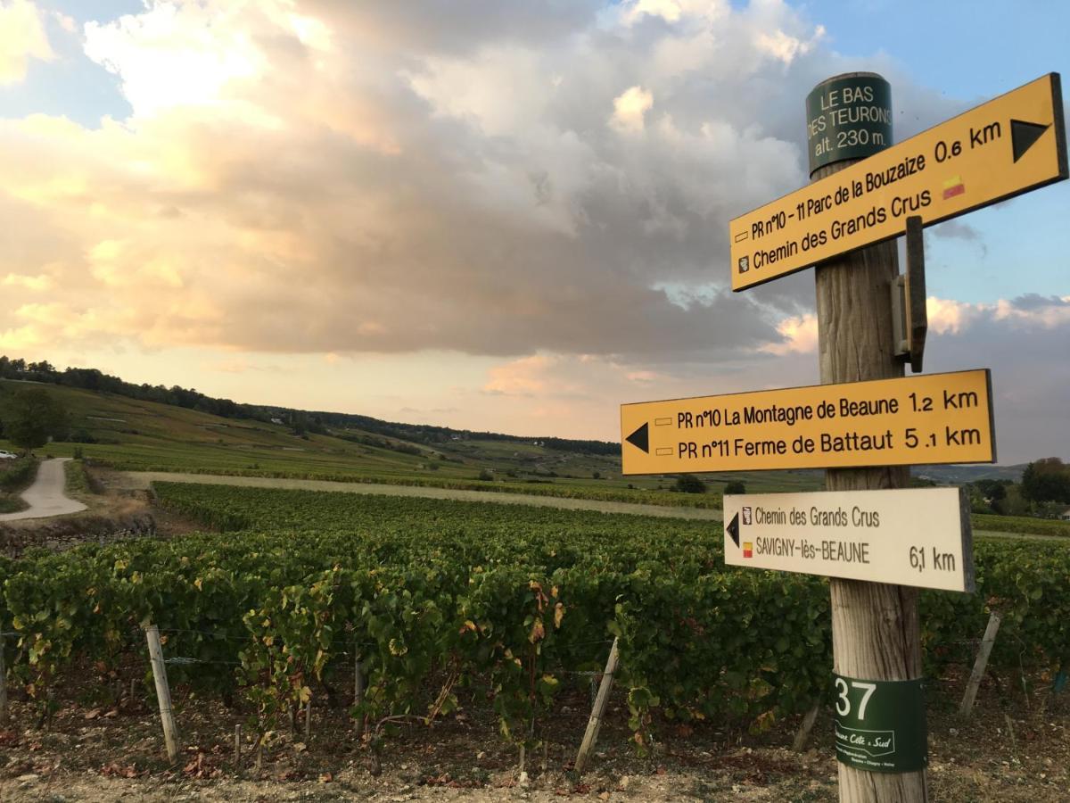 Le Gite De Tassigny Meursault Eksteriør bilde